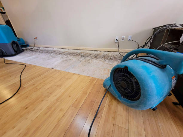 Professional Structural Drying technician working in Bretton Woods, NH